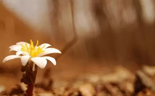 看懂這60個英語句型，應(yīng)付日常交流足夠啦