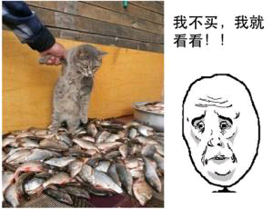 【語音版】前方高能：look不只是“看”