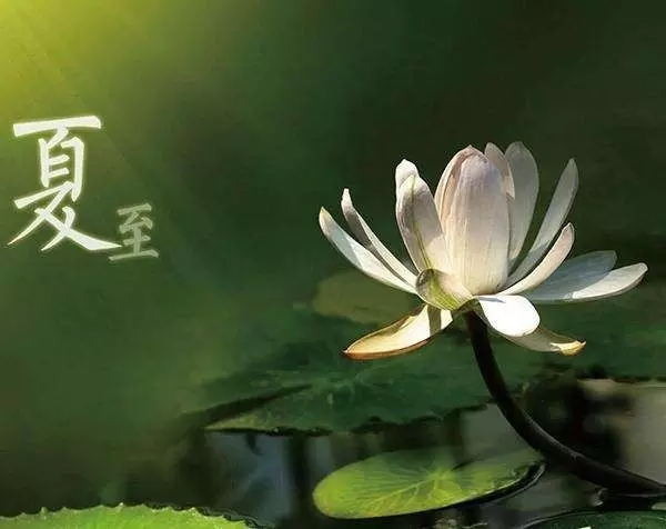 春來(lái)夏往，秋去冬來(lái)。節(jié)氣的英文表達(dá)奉獻(xiàn)給大家。