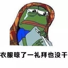 春來(lái)夏往，秋去冬來(lái)。節(jié)氣的英文表達(dá)奉獻(xiàn)給大家。