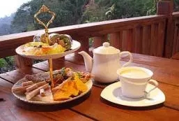 聽說下雨天，中國的茶文化和英文很配哦！