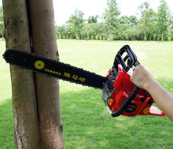 本來(lái)英語(yǔ)之路就坎坷，現(xiàn)在有點(diǎn)兒顛簸......