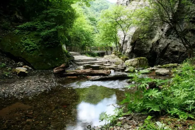 出門五分鐘，流汗兩小時(shí)？不，還有這些涼爽的地方