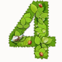 4