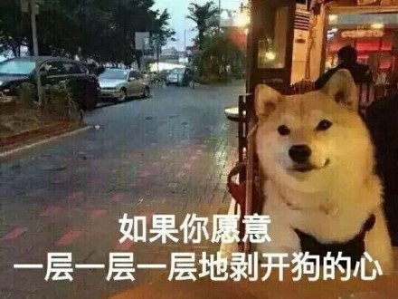 虐狗