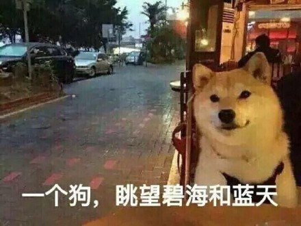 虐狗