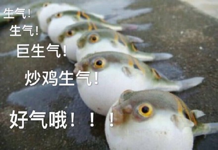惹怒
