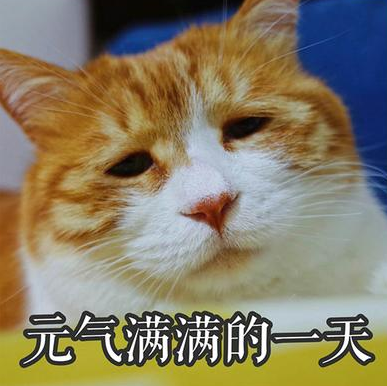 毒雞湯