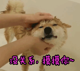 沒關(guān)系摸摸你