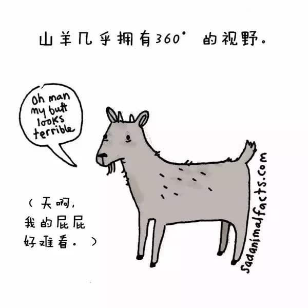 動(dòng)物冷知識(shí)