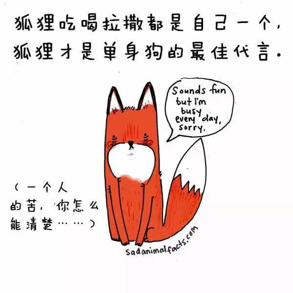 動(dòng)物冷知識(shí)