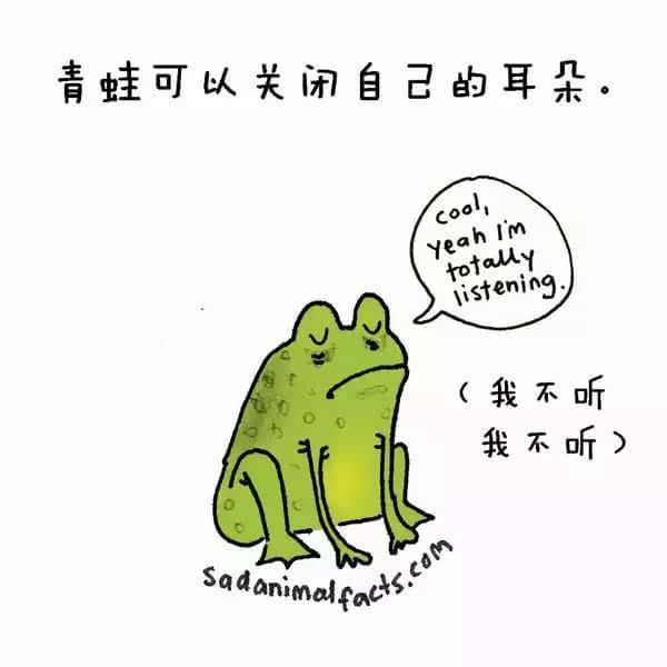 動(dòng)物冷知識(shí)