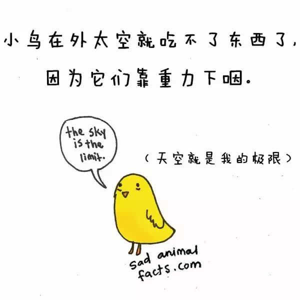 動(dòng)物冷知識(shí)