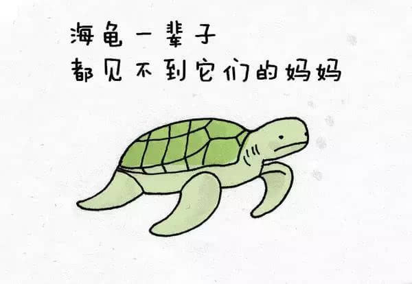 動(dòng)物冷知識(shí)