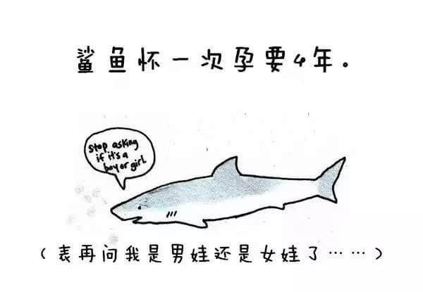 動(dòng)物冷知識(shí)