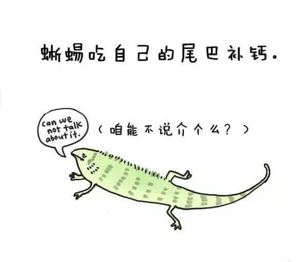 動(dòng)物冷知識(shí)