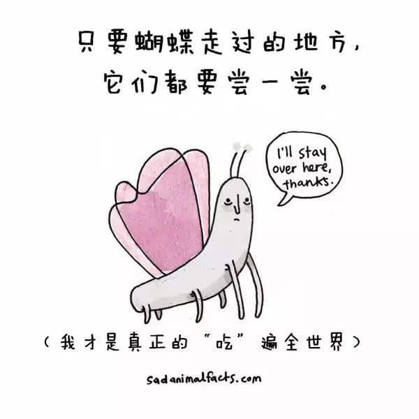 動(dòng)物冷知識(shí)