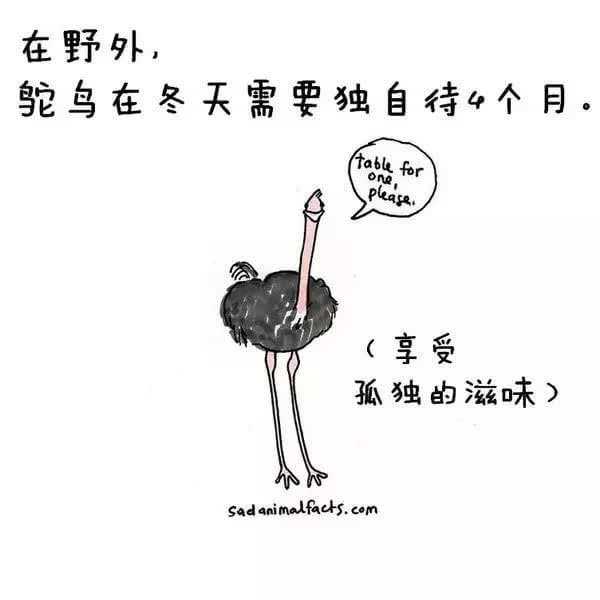 動(dòng)物冷知識(shí)