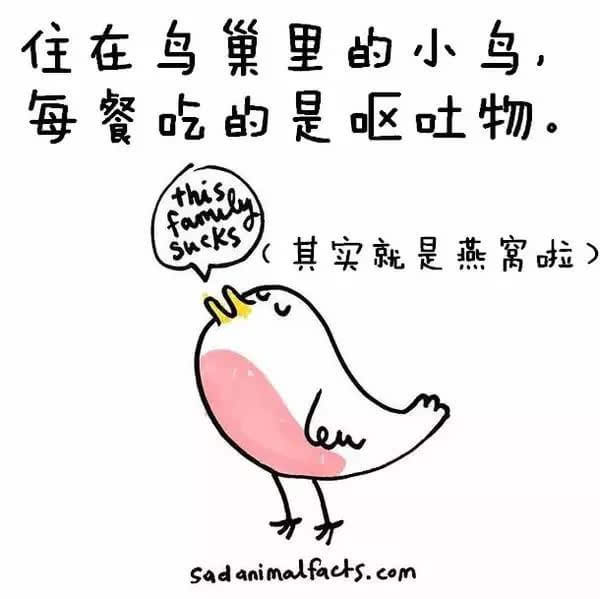 動(dòng)物冷知識(shí)