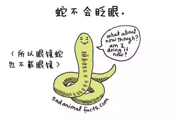 動(dòng)物冷知識(shí)