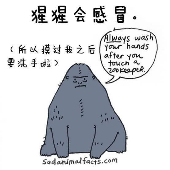 動(dòng)物冷知識(shí)