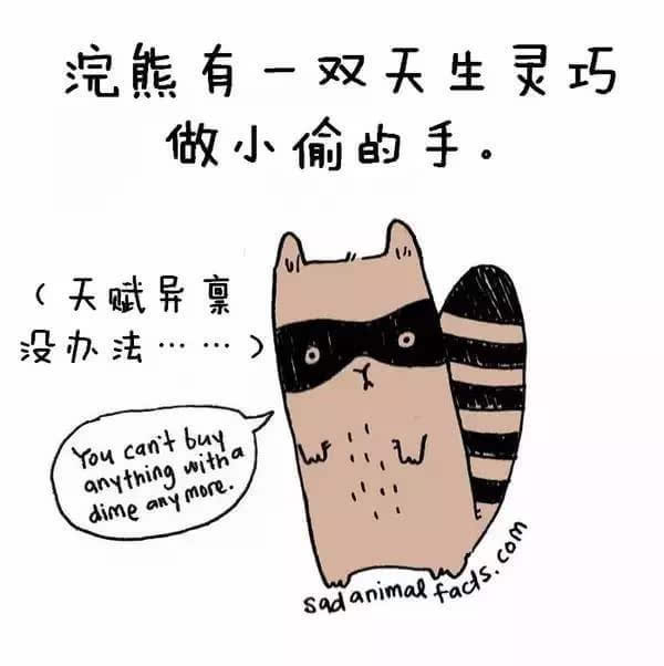 動(dòng)物冷知識(shí)