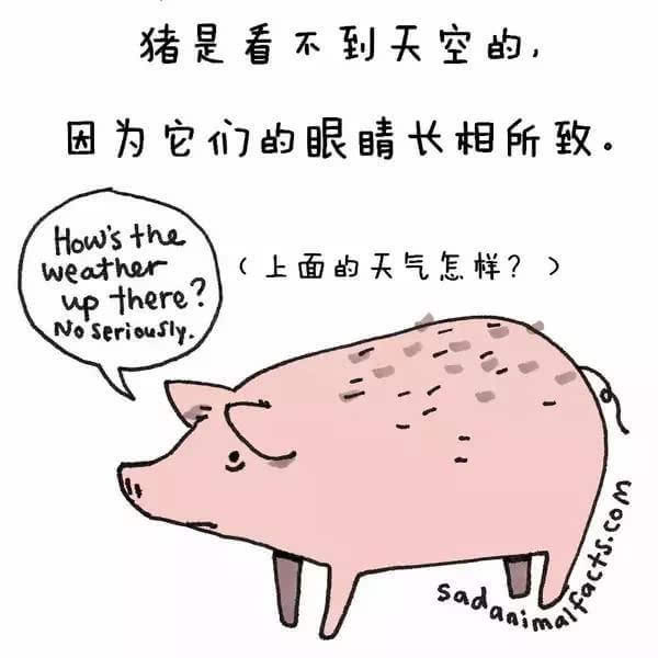 動(dòng)物冷知識(shí)