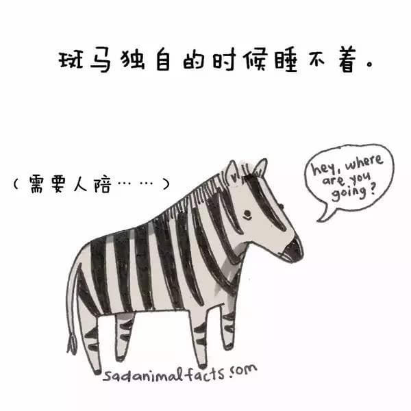 動(dòng)物冷知識(shí)