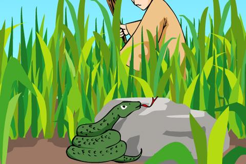 用英語說成語:打草驚蛇（雙語）