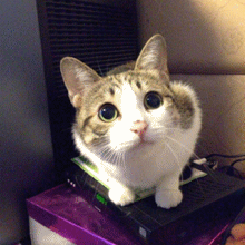 微信