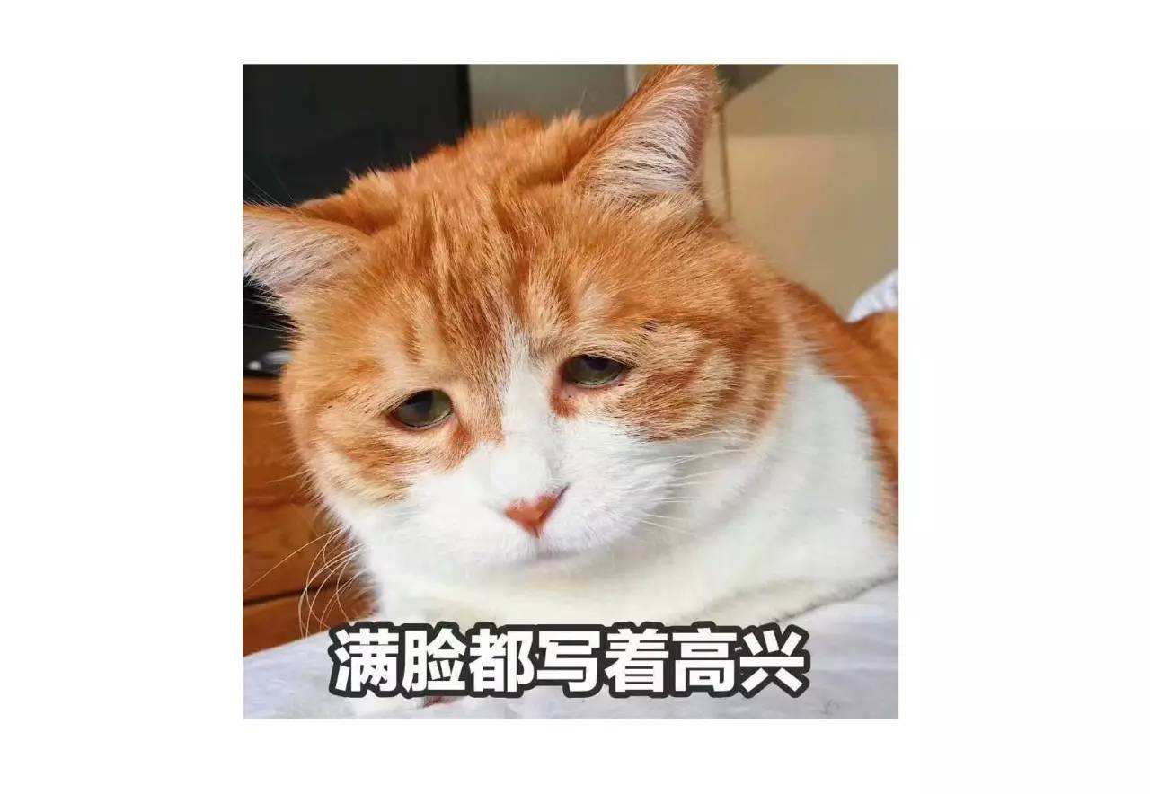 強(qiáng)顏歡笑