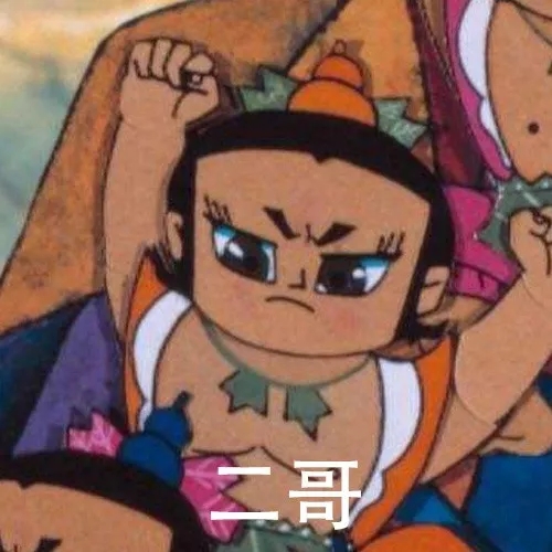 skr